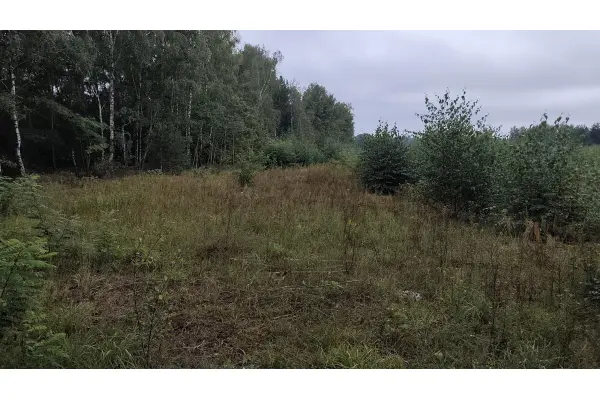 Wola-Folwark, Baboszewo, Działka na sprzedaż