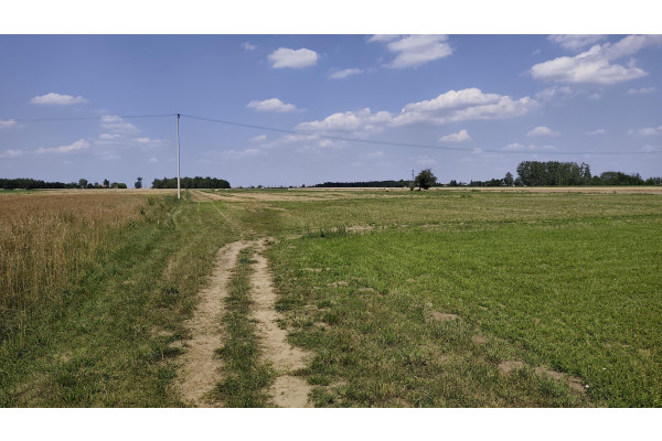 Poczernin, Płońsk, Działka na sprzedaż